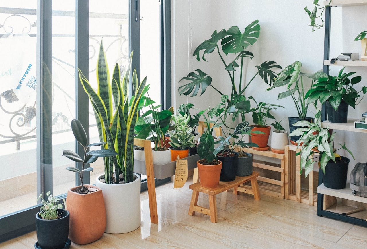 Home Improvement Projects